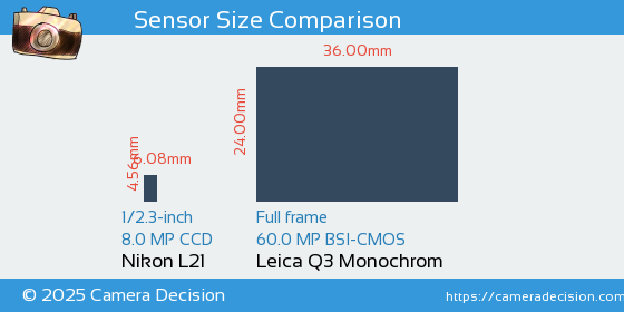 Nikon L21 vs Leica Q3 Monochrom Sensor Size Comparison