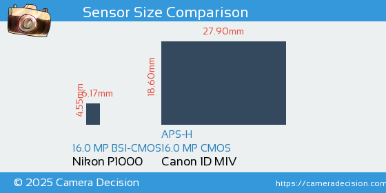 Nikon P1000 vs Canon 1D MIV Sensor Size Comparison