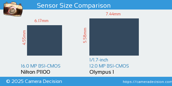 Nikon P1100 vs Olympus 1 Sensor Size Comparison