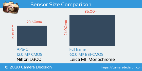 Nikon D300 vs Leica M11 Monochrom Sensor Size Comparison