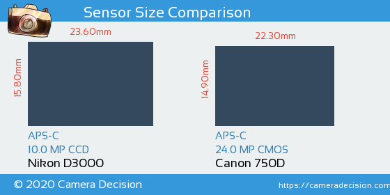 Nikon D3000 vs Canon 750D Sensor Size Comparison