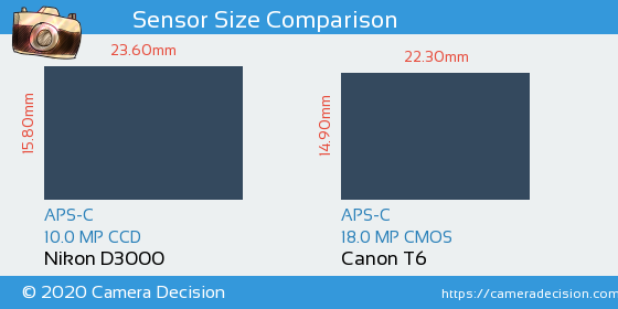 Nikon D3000 vs Canon T6 Sensor Size Comparison