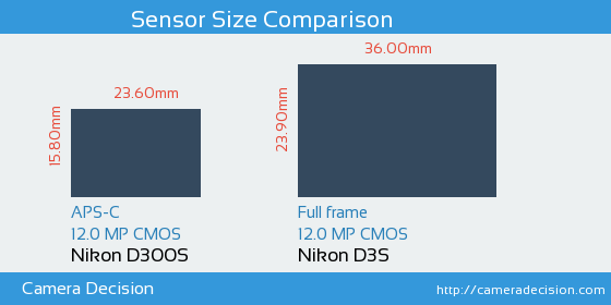 Nikon D300S vs Nikon D3S Sensor Size Comparison
