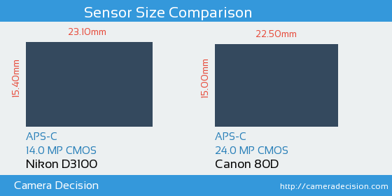 Nikon D3100 vs Canon 80D Sensor Size Comparison