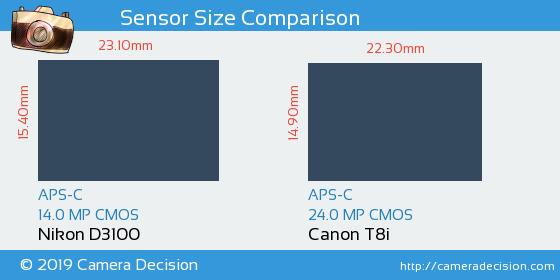 Nikon D3100 vs Canon T8i Sensor Size Comparison