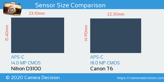 Nikon D3100 vs Canon T6 Sensor Size Comparison