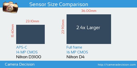 Nikon D3100 vs Nikon D4 Sensor Size Comparison