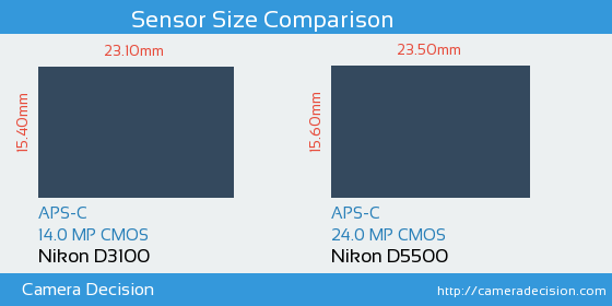 Nikon D3100 vs Nikon D5500 Sensor Size Comparison