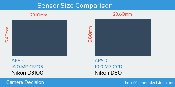 Nikon D3100 vs Nikon D80 Sensor Size Comparison