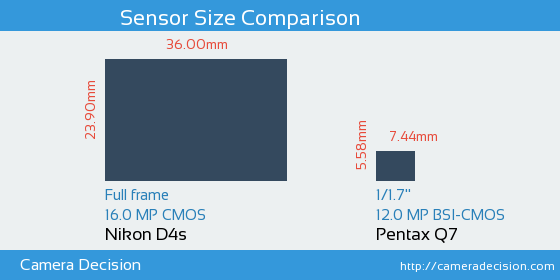 Nikon D4s vs Pentax Q7 Sensor Size Comparison