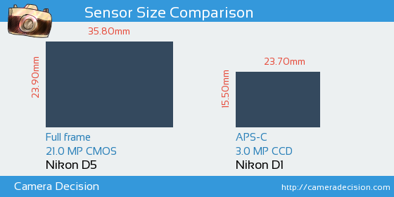Nikon D5 vs Nikon D1 Sensor Size Comparison