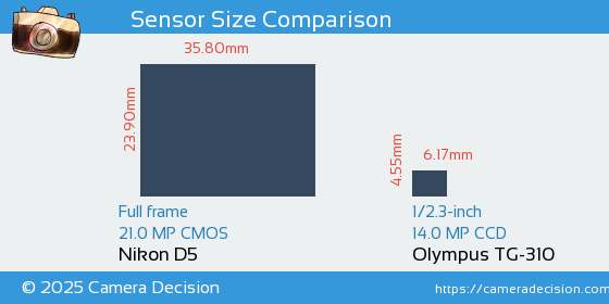 Nikon D5 vs Olympus TG-310 Sensor Size Comparison