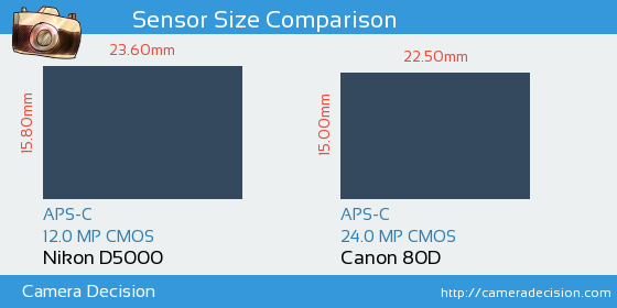 Nikon D5000 vs Canon 80D Sensor Size Comparison