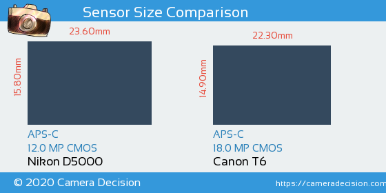 Nikon D5000 vs Canon T6 Sensor Size Comparison