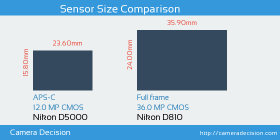 Nikon D5000 vs Nikon D810 Sensor Size Comparison