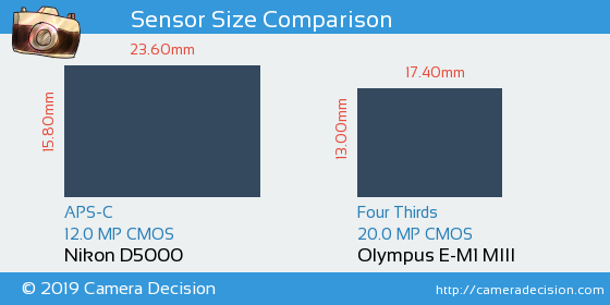 Nikon D5000 vs Olympus E-M1 III Sensor Size Comparison