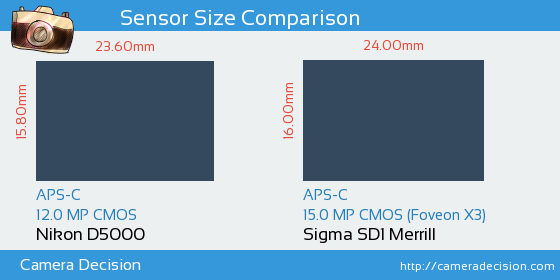 Nikon D5000 vs Sigma SD1 Merrill Sensor Size Comparison