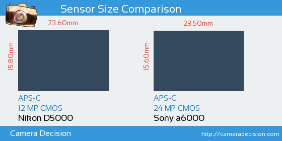 Nikon D5000 vs Sony A6000 Sensor Size Comparison