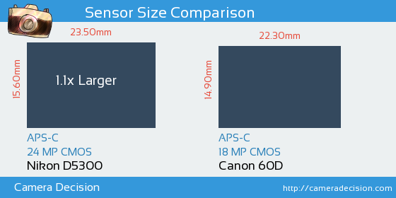 Nikon D5300 vs Canon 60D Sensor Size Comparison