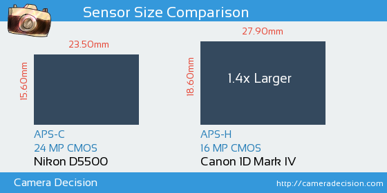 Nikon D5500 vs Canon 1D MIV Sensor Size Comparison