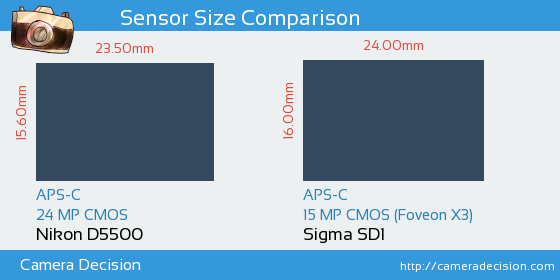 Nikon D5500 vs Sigma SD1 Sensor Size Comparison