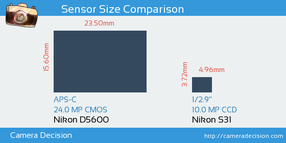 Nikon D5600 vs Nikon S31 Sensor Size Comparison
