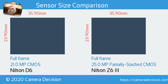 Nikon D6 vs Nikon Z6 III Sensor Size Comparison