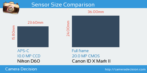 Nikon D60 vs Canon 1D X II Sensor Size Comparison