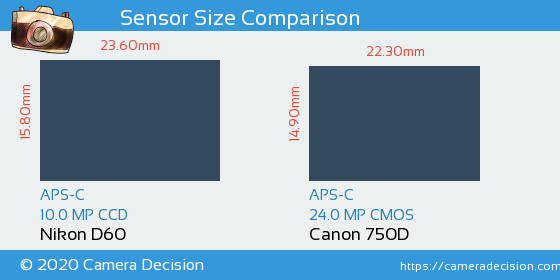Nikon D60 vs Canon 750D Sensor Size Comparison