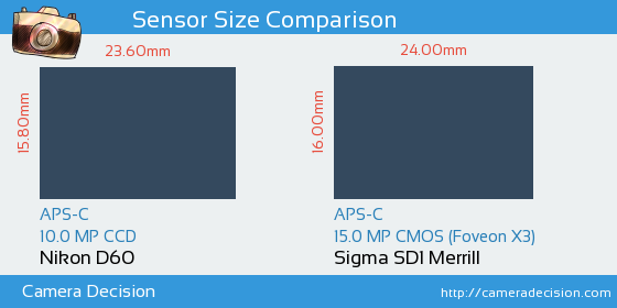 Nikon D60 vs Sigma SD1 Merrill Sensor Size Comparison