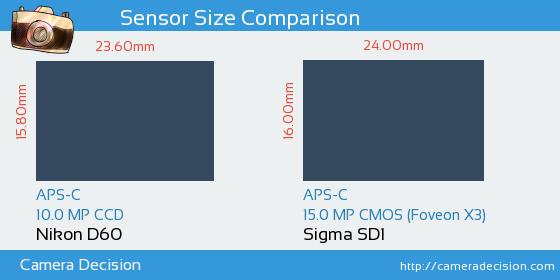 Nikon D60 vs Sigma SD1 Sensor Size Comparison