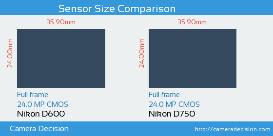 Nikon D600 vs Nikon D750 Sensor Size Comparison
