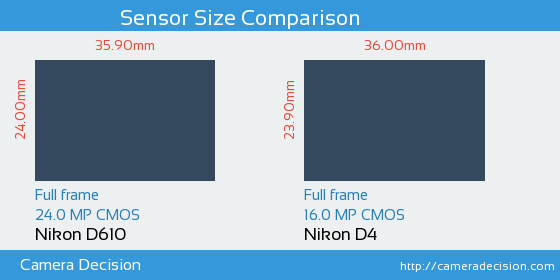 Nikon D610 vs Nikon D4 Sensor Size Comparison