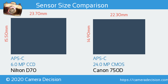 Nikon D70 vs Canon 750D Sensor Size Comparison
