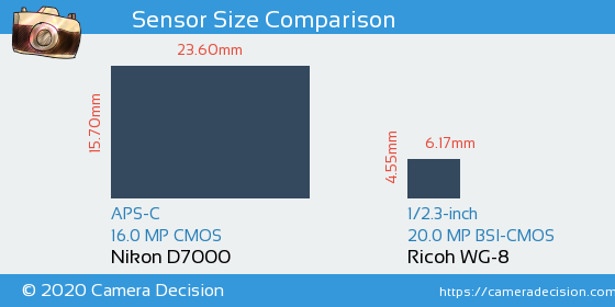 Nikon D7000 vs Ricoh WG-8 Sensor Size Comparison