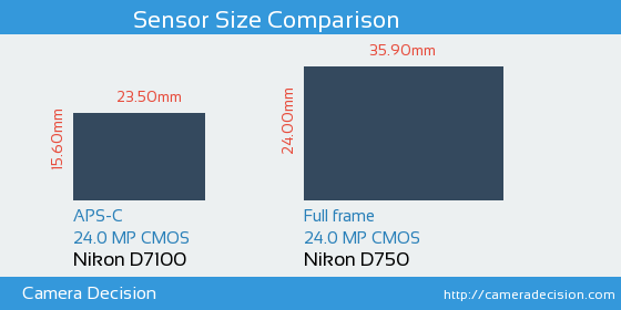Nikon D7100 vs Nikon D750 Sensor Size Comparison