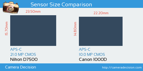 Nikon D7500 vs Canon 1000D Sensor Size Comparison