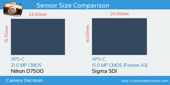 Nikon D7500 vs Sigma SD1 Sensor Size Comparison