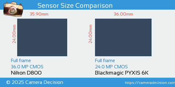 Nikon D800 vs Blackmagic PYXIS 6K Sensor Size Comparison