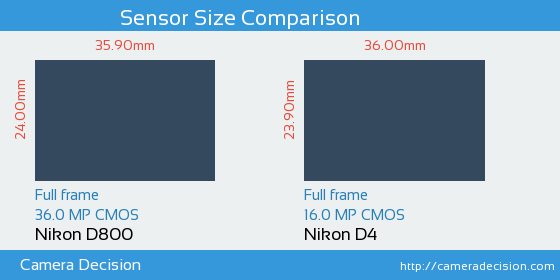 Nikon D800 vs Nikon D4 Sensor Size Comparison