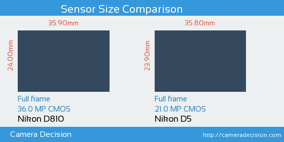 Nikon D810 vs Nikon D5 Sensor Size Comparison