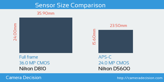Nikon D810 vs Nikon D5600 Sensor Size Comparison