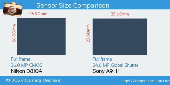 Nikon D810A vs Sony A9 III Sensor Size Comparison