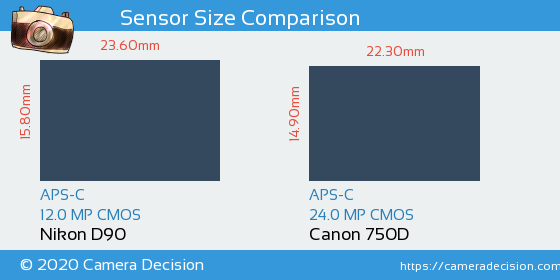 Nikon D90 vs Canon 750D Sensor Size Comparison