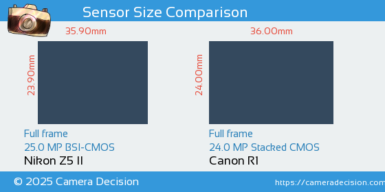 Nikon Z5 II vs Canon R1 Sensor Size Comparison