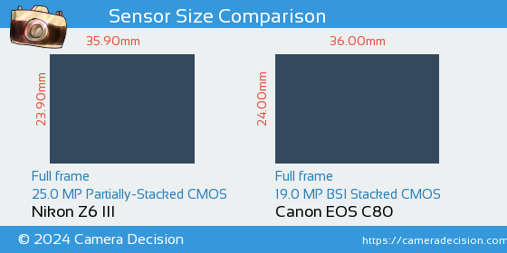 Nikon Z6 III vs Canon EOS C80 Sensor Size Comparison