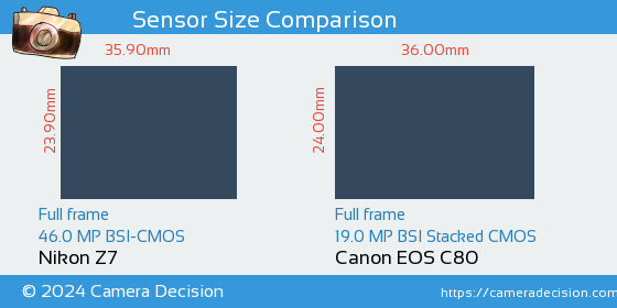 Nikon Z7 vs Canon EOS C80 Sensor Size Comparison