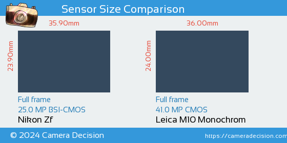 Nikon Zf vs Leica M10 Monochrom Sensor Size Comparison
