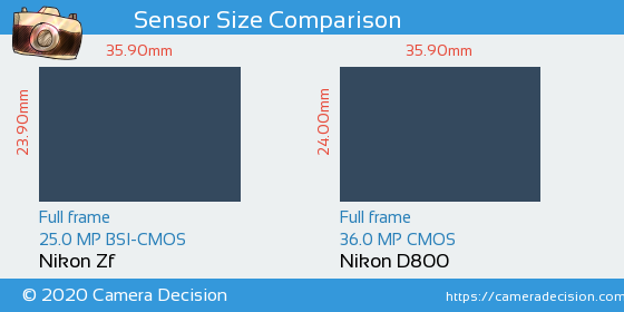 Nikon Zf vs Nikon D800 Sensor Size Comparison
