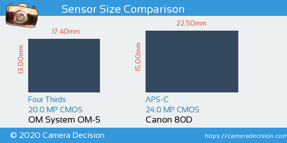 OM System OM-5 vs Canon 80D Sensor Size Comparison